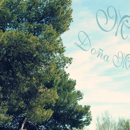 Dona Manuela 3* Daimiel